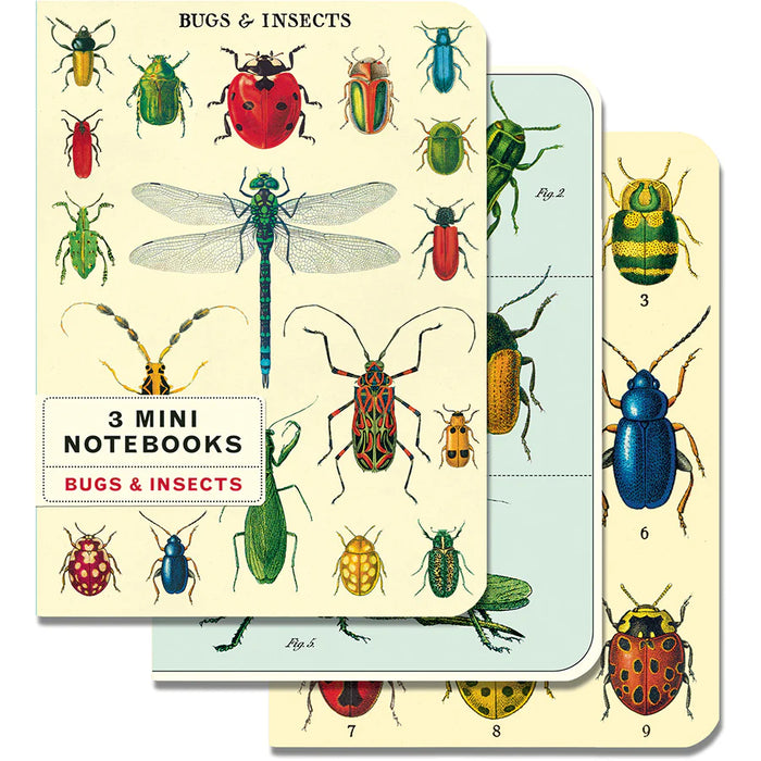 Bugs and Insects - Three Mini Notebooks