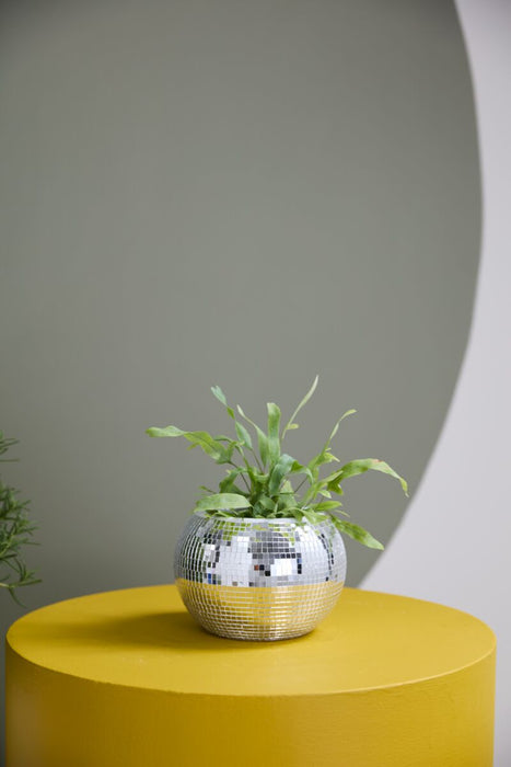 Disco Pot