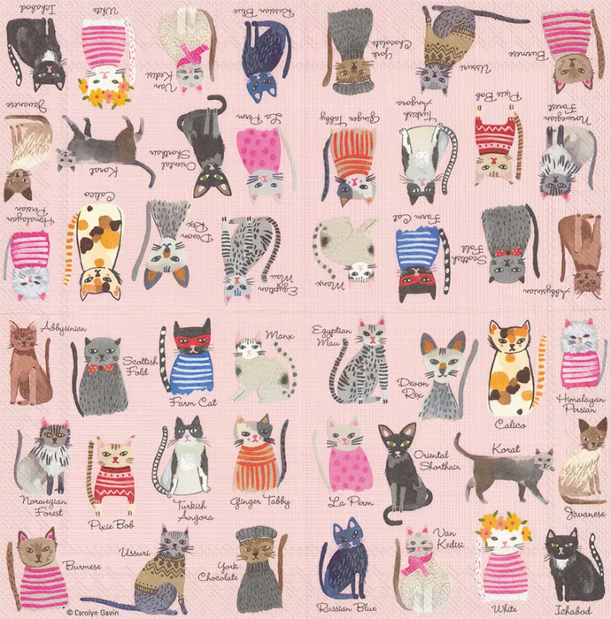 Paper Cocktail Napkins 20 Count