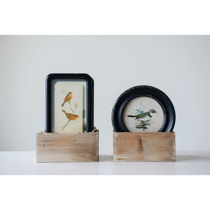 Framed Glass w/ Floating Bird Print