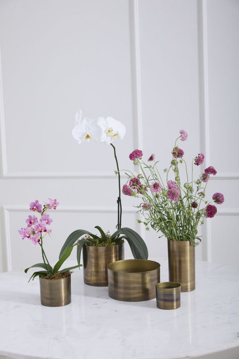 Lincoln Pot