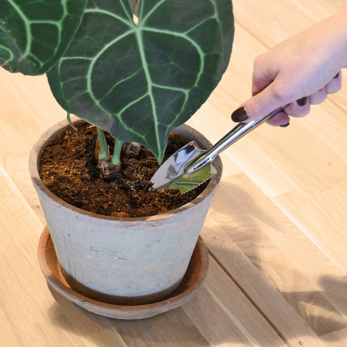 Indoor Gardening Shovel