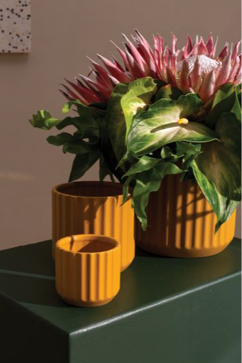 Beam Pot