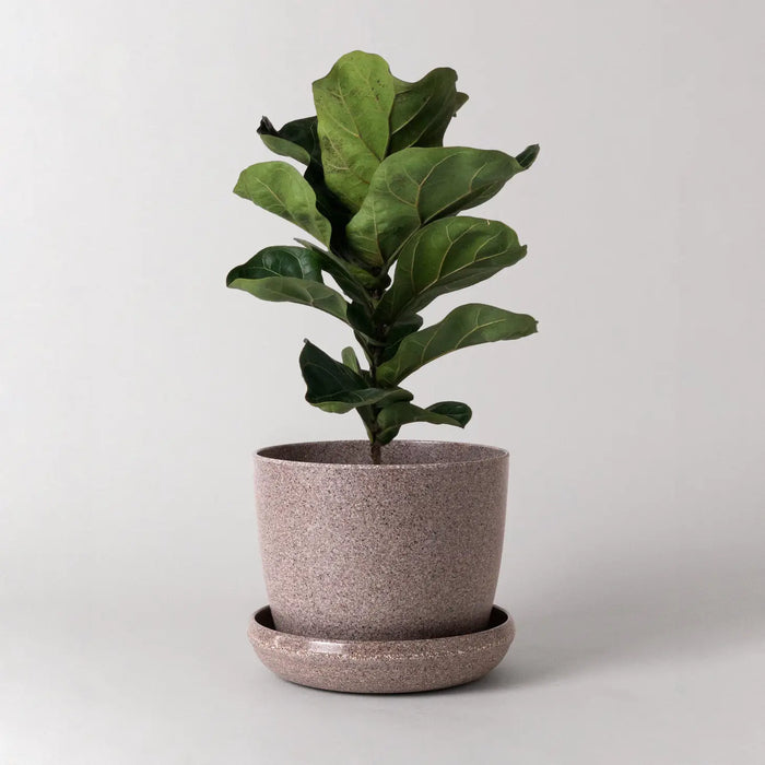 7" Harmony Planter