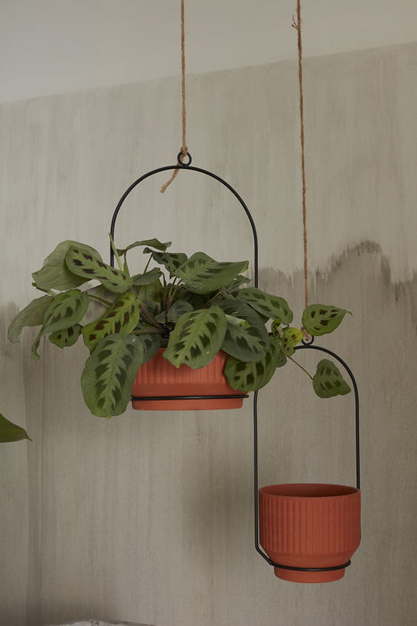 Camarillo Hanging Pot